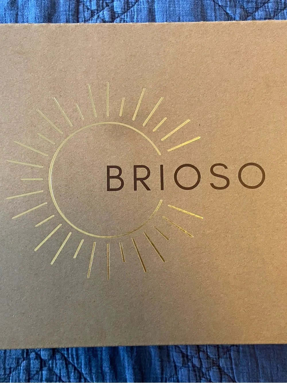 Brioso Leather Sandals